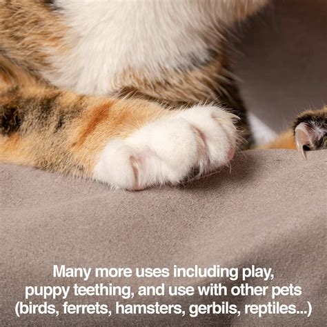 Petfusion Multipurpose Pet Glove